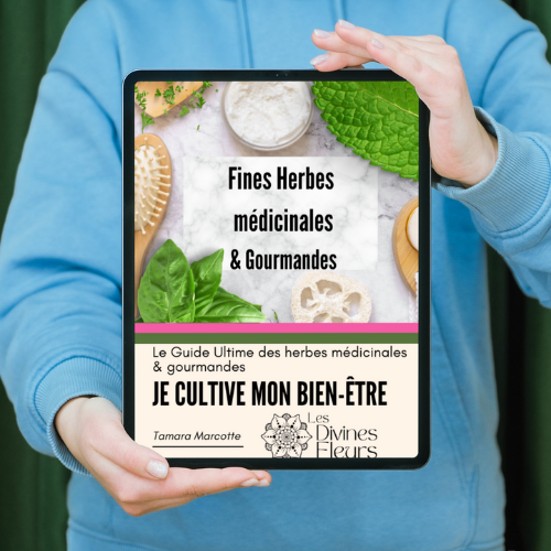 Guide Ultime Cultiver son bien ĂȘtre