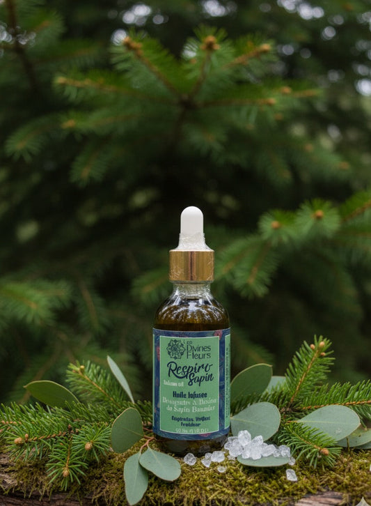 Huile infusée naturelle pour le corps au sapin baumier 